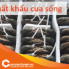 Thủ Tục Xuất Khẩu Cua Sống , Cua Cà Mau